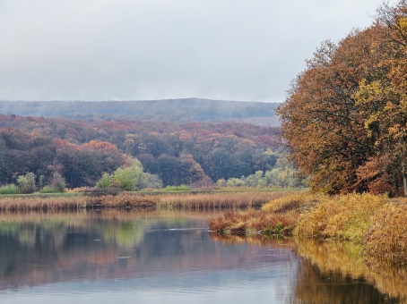 Harsányi Horgásztó TOP 5 - Etetőhajós Kupa